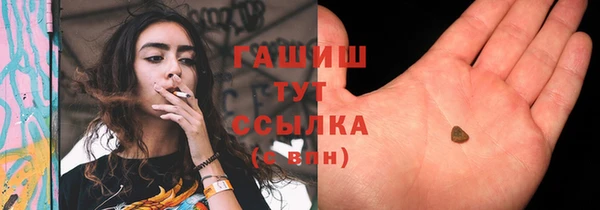 spice Богданович