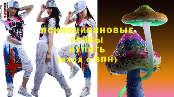 Альфа ПВП Бородино