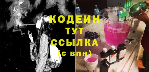 spice Богданович