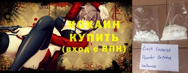 крисы Бронницы