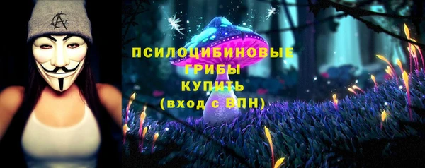 spice Богданович