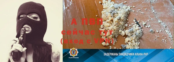 крисы Бронницы