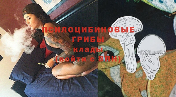 Альфа ПВП Бородино